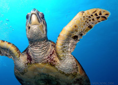 Wadi Lahami octobre 2008