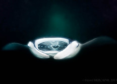 Maldives octobre 2013