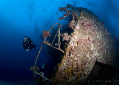 Egypte novembre 2023