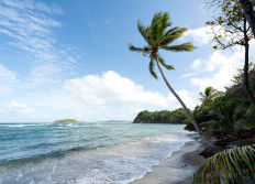 Martinique décembre 2023