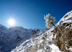 Etang de Médécourbe novembre 2021