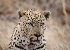 Afrique du Sud septembre 2024