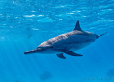 Egypte septembre 2025