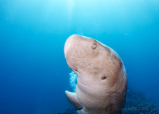 Wadi Lahami septembre 2022